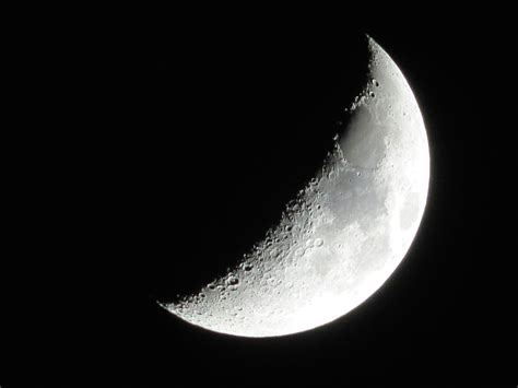 Filewaxing Crescent Moon