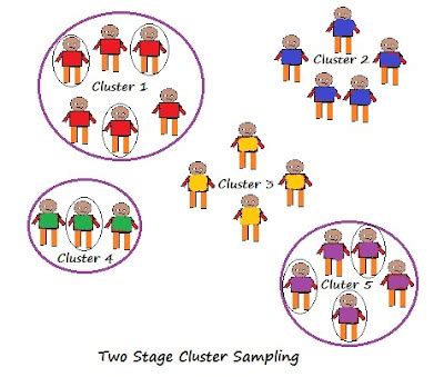 All Types Of Sampling | EducationSavvy