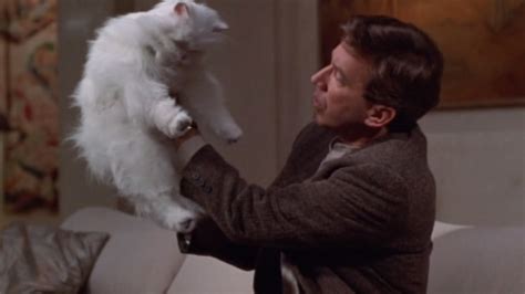 It appears that tim allen has starred in a lot of movies that haven't been too well received. August | 2017 | Cinema Cats