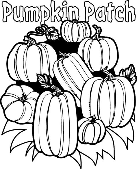 Free Printable Pumpkin Patch Coloring Pages