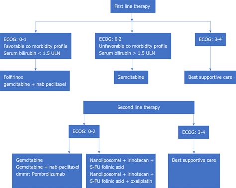 Management Of Advanced Metastatic Pancreatic Carcinoma Ecog Eastern