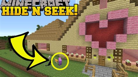 This update was announced at minecon 2021. Minecraft: COLORFUL CATS HIDE AND SEEK!! - Morph Hide And ...