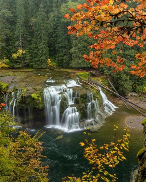 Lower Lewis River Falls Ford Pinchot National Forest Nature