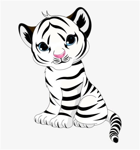 Drawing Tigers Cute Baby White Tiger Cubs Clipart Png Image