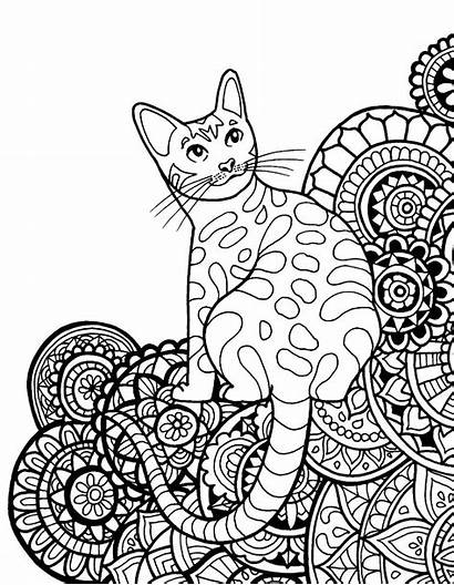 Mandala Cat Coloring Pages Cats Ty Freebie