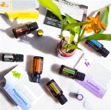 Benefits And Uses Of Essential Oils Doterra Sveeteskapes