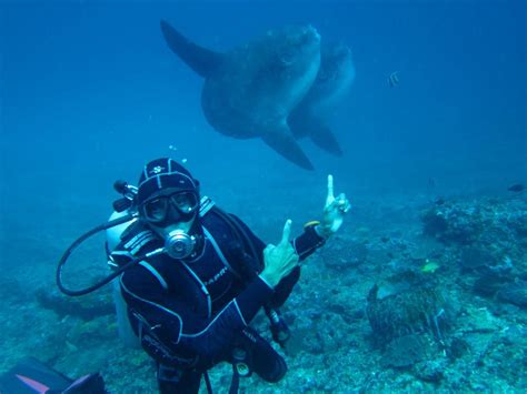 “scuba Diving Trip” ‘from Bali To Nusa Lembongan And Nusa Penida