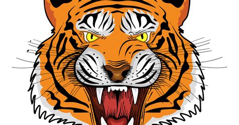 Angry Tiger Cartoon Picture png image
