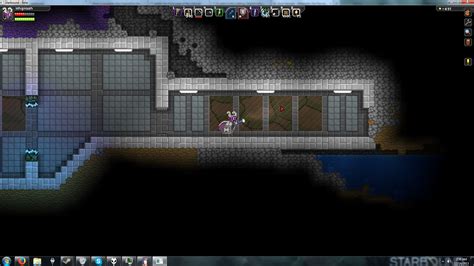 Found An Apex Jumping Puzzle With No End Room Starbound