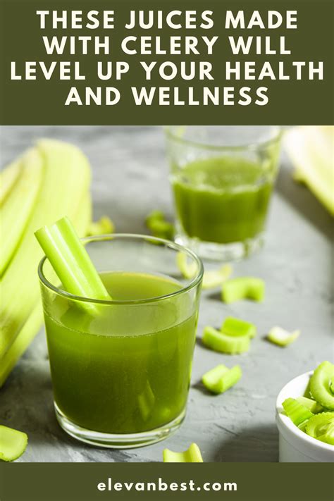 Cactus juice is high in fiber making you feel full when you eat or drink it. Pin on Celery Juice Recipes for Weight Lose