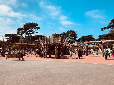 San Francisco Zoo - 2019 All You Need to Know BEFORE You Go (with