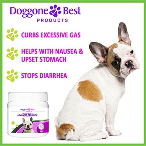 Probiotics For Dogs Tasteless Probiotic Powder For Fast Diarrhea