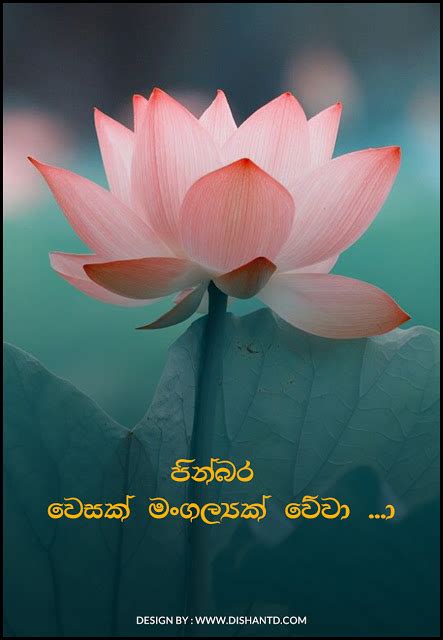 Sinhala Wesak Cards Sinhala Vesak Cards Sinhala Wesak Pictures