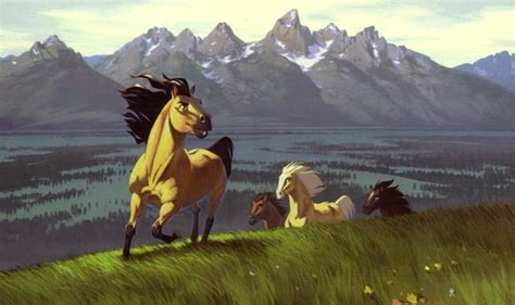 Top 10 Beste Paardenfilms Alletop10lijstjes