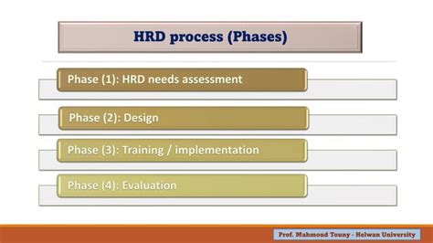 Roles And Phases Of Hrd Ppt
