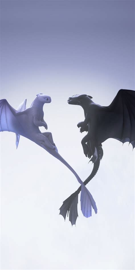 Httyd Toothless And Light Fury Wallpaper The Hidden World K Toothless Hiccup Animation