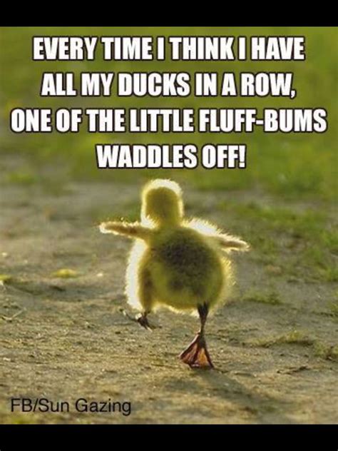 40 Cute And Funny Animal Quotes