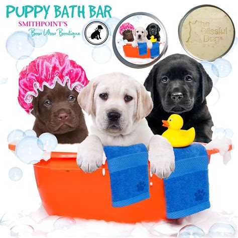 We did not find results for: CONGRATULATIONS! NEW PUPPY GIFT BOX OR GIFT BASKET