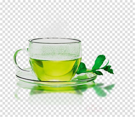 Green Tea Png Free Logo Image