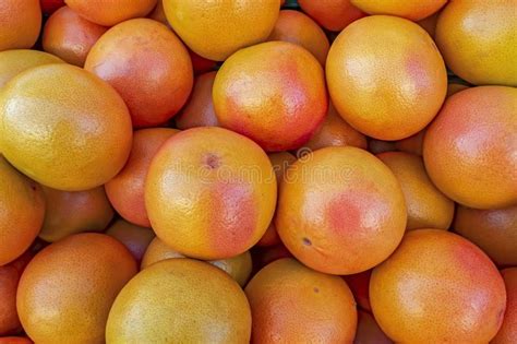 Close Up Grapefruits In Greengrocer Stock Photo Image Of Close