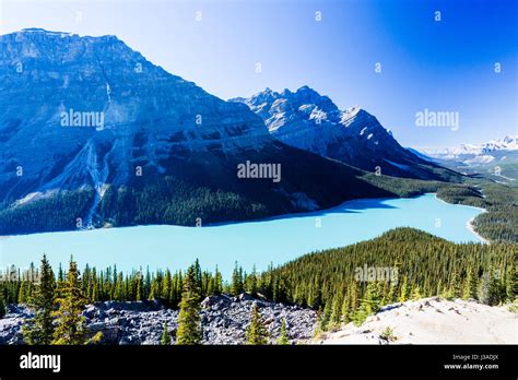 Peyto Lake Is A Glacier Fed Lake Located In Banff National Park In The