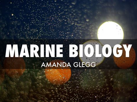 Marine Biologist By Amanda Glegg