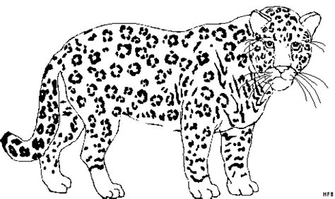 Schwierige ausmalbilder für erwachsene tiere: ausmalbild leopard - Ausmalbilder für kinder | Ausmalen, Ausmalbild, Ausmalbilder