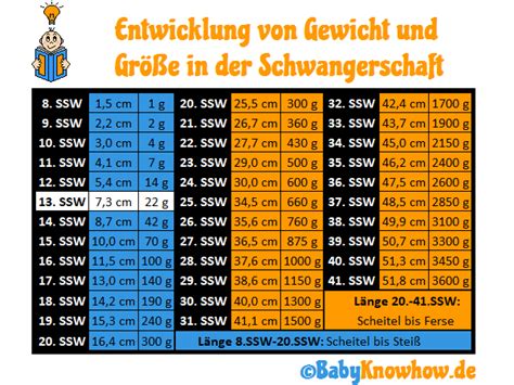 Erfahren sie hier, welches später kräftige organ ihres kindes anfängt, sich in ssw 13 zu entwickeln, und warum sie sich beim essen einen kleinen nachschlag genehmigen dürfen. 13. SSW: Größe, Entwicklung & Geschlecht im Ultraschall