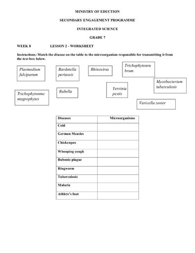 Grade 7  Worksheets  Integrated Science