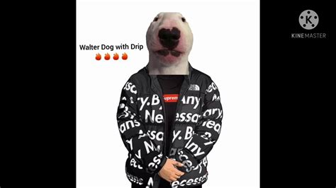 Walter Dog Meme By Me Youtube