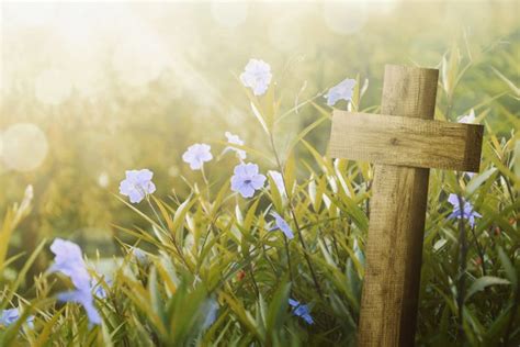 Download hd flower photos for free on unsplash. How to Engage Your Community After Easter Sunday Services ...