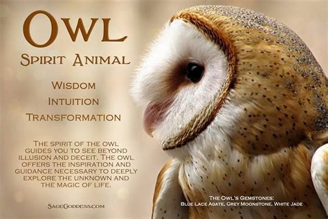 Sage Goddess Spirit Animal Totem Animal Totem Spirit Guides Owl