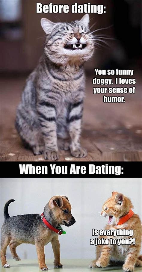 Funny Pictures Of The Day 37 Pics Funny Dating Memes