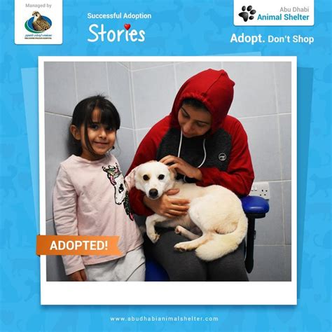 Abu Dhabi Animal Shelter Animal Shelter Dog List Shelter