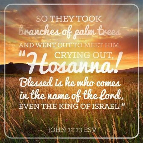 See, your king is coming, sitting on the colt of a donkey! John 12:13 | Palm sunday quotes, Sunday quotes, Happy palm ...