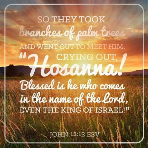 Palm sunday is a favorite time for many christians across the world and if you are looking for great palm sunday . John 12:13 | Palm sunday quotes, Sunday quotes, Happy palm ...