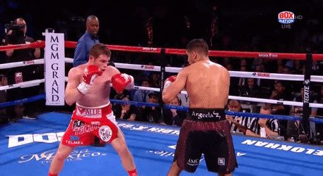 Upload a file and convert it into a.gif and.mp4. Great boxing knockout | Create, discover and share awesome ...