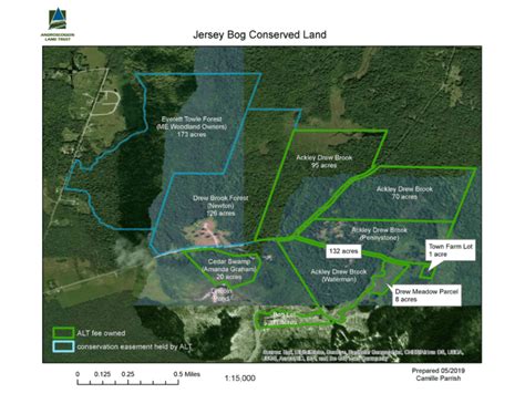 Jersey Bog Conservation Area Androscoggin Land Trust