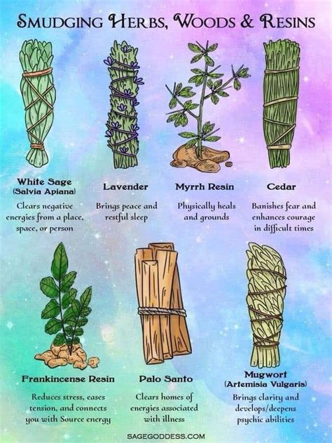 Smudging Herbs And Incense For Different Needs Herbal