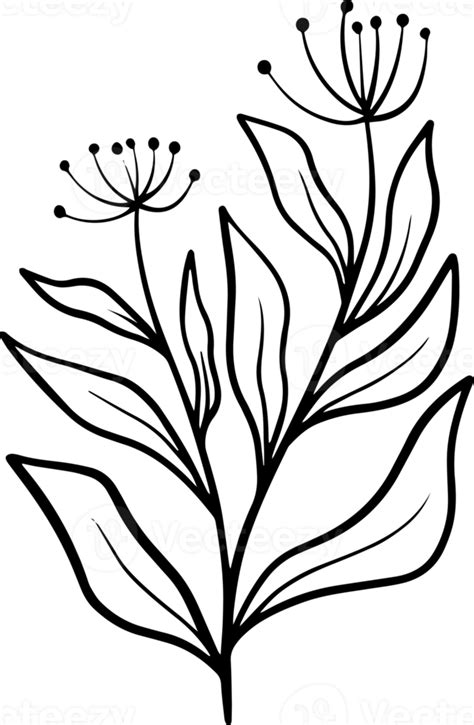 Hand Drawn Flower Sketch Line Art 10863591 Png