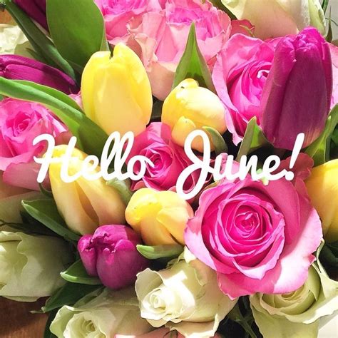 Pin By M E 916 On Months Hello June Happy June New Month Wishes