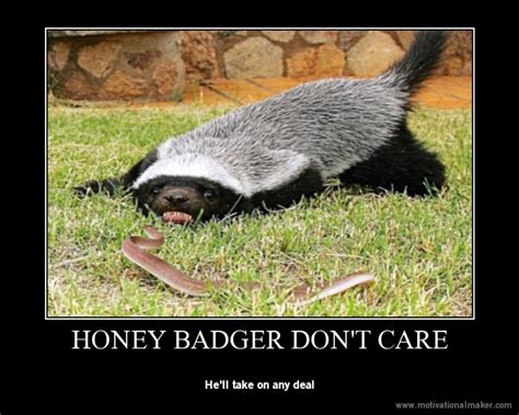 Honey Badger Dont Care 