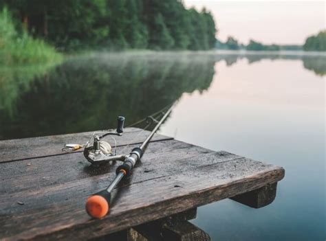 Top Tips For Successful Fishing Off A Dock