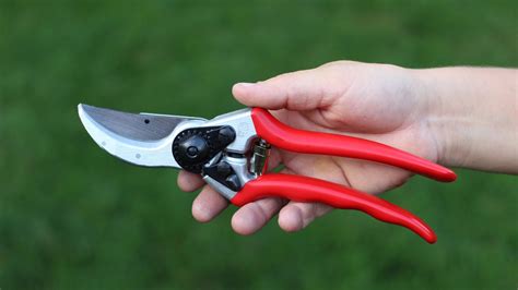 We did not find results for: Felco Pruners Review | Garden tools, Garden shears, Best ...