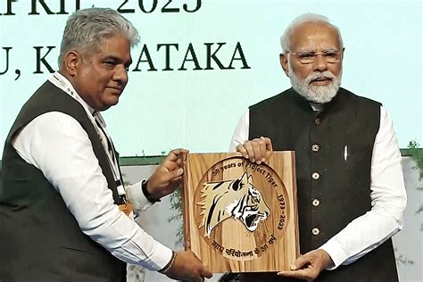 50 Years Of ‘project Tiger Tiger Population Up By 200 Since 2018 Pm