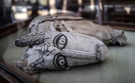 Mummified Lion Cubs Cats Crocodiles Unveiled In Egypt