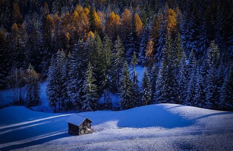 Free Image On Pixabay Forest Snow Winter Landscape