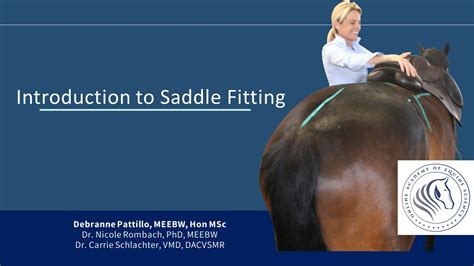 Introduction To Saddle Fitting Equinology Institute