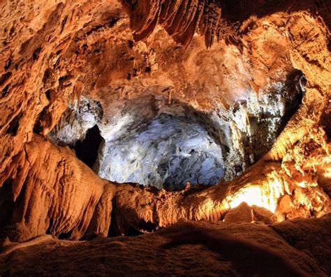 Lake Shasta Caverns Wild Explorers