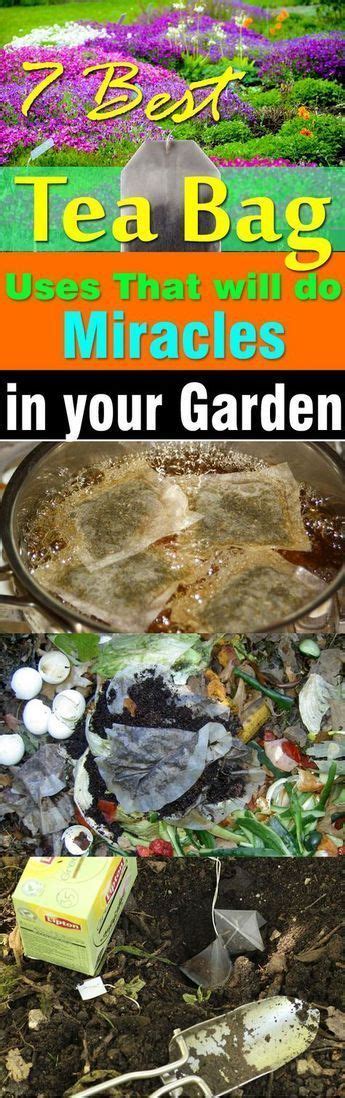 7 Best Tea Bag Uses That Will Do Miracles In Your Garden